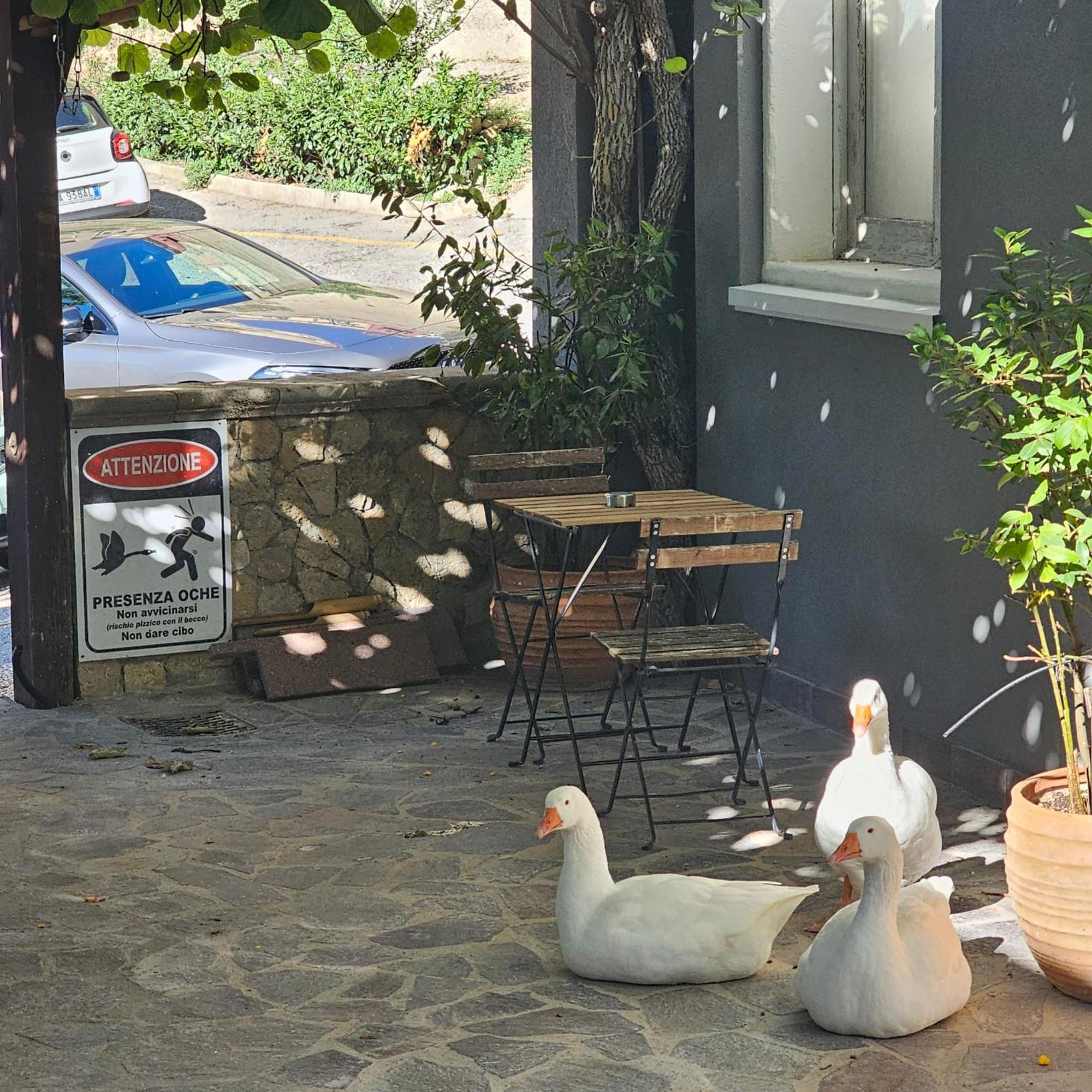 Room & Parking In Centro Citta Con Parcheggio Privato E Wifi Ποτέντσα Εξωτερικό φωτογραφία